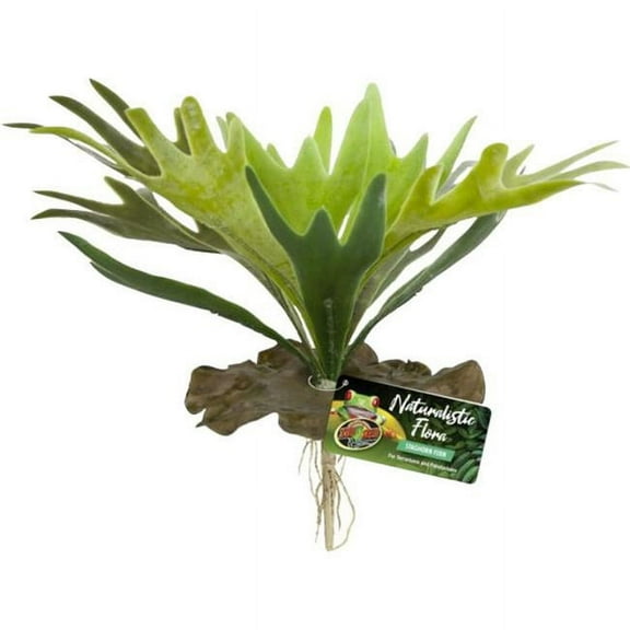 Zoo Med Naturalistic Flora Staghorn Fern - 1 count
