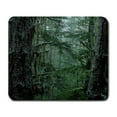 thumbnail image 1 of EREHome Scenic Nature Forest Mouse pads Gaming Mouse Pad 9.84x7.87 inches, 1 of 1