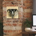 thumbnail image 5 of Epic Graffiti 'Highland Animal Ram' by Silvia Vassileva, Canvas Wall Art, 12"x12", 5 of 8