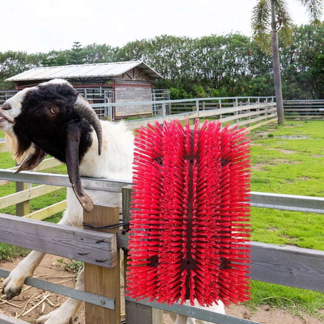 Cepillo rascador para ganado Colamx Kit de aseo para caballos Rascador para vacas Cerdos Ovejas Rojo
