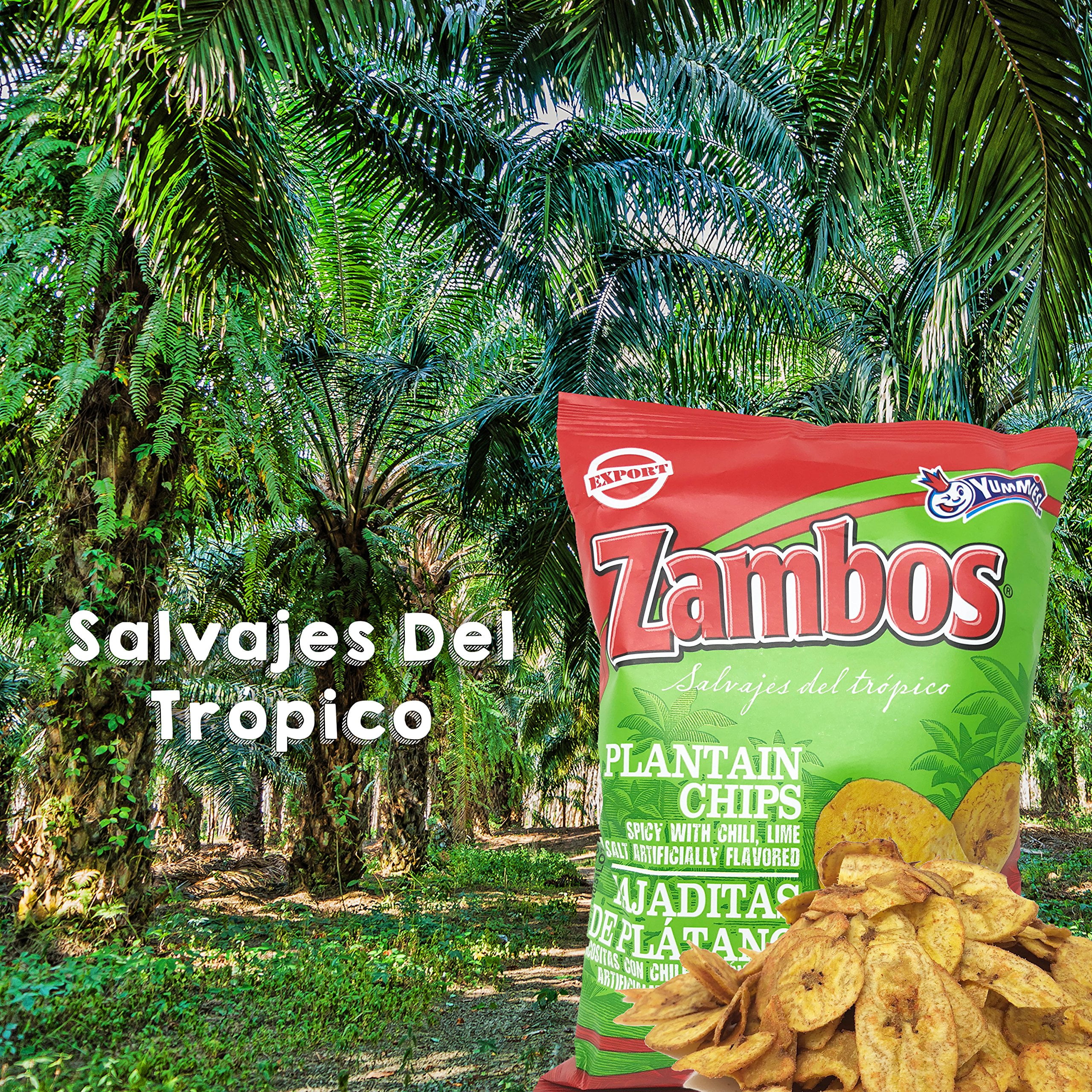 Zambos Plantain Chips: Spicy STF9&nbsp;with Chili,Lime and Salt de Plátano con Chile + Limón y Sal) Crunchy with spicy taste that many like | Salvajes del Trópico | 5.46 ounces (155grams) 3 pack