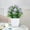 A, variant on Gosuguu Artificial Potted Plant with Flowers for Indoor Home Office Desk Decor