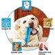 thumbnail image 3 of Palillo de Cepillo de Dientes Para Perros,Masajeador de Limpieza de Dientes de Perro Efectivo Para Cachorros Medianos Pequeños, Cuidado Dental de Goma Natural (Azul) LingWen 1327537063551, 3 of 5