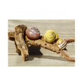 thumbnail image 2 of MERIGLARE Escargots Stone Sandbeach Turtle Aquarium Background Poster Sticker Escargots Escargots 61x30cm, 2 of 9