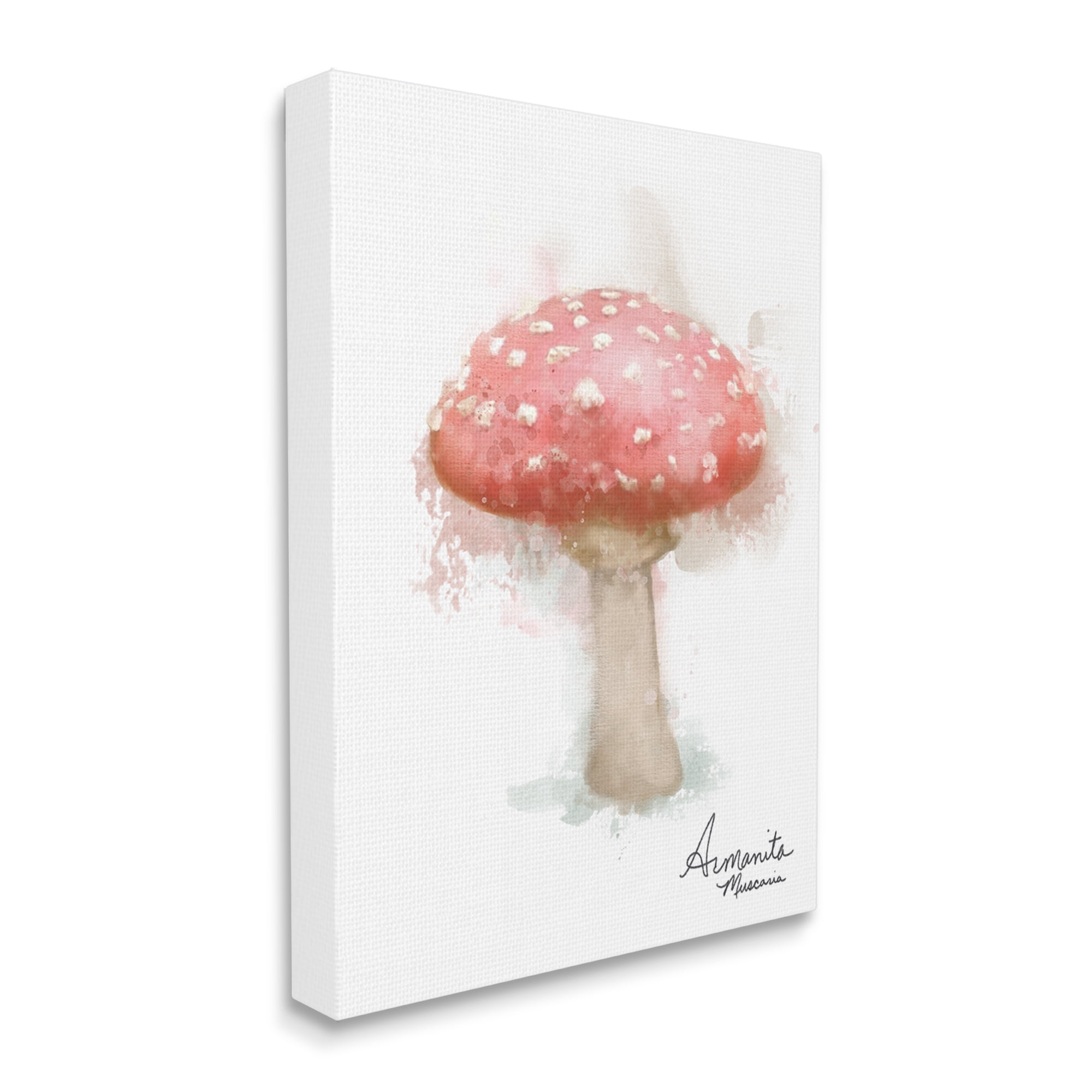Stupell Industries Abstract Amanita Mushroom Botanical & Floral Painting Gallery Wrapped Canvas Art Print Wall Art, 16 x 20