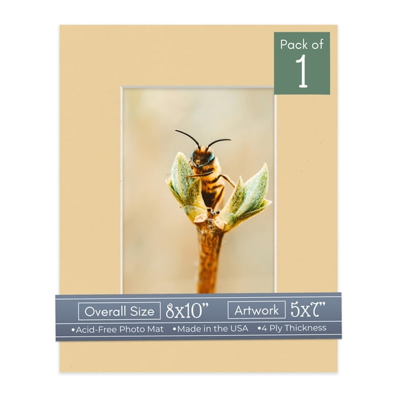 Beige Picture Frame Mat for 8x10 Frames - Fits 5x7 Photos - 1 Mat