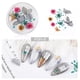 thumbnail image 1 of Uñas postizas, regalos para mujeres, decoración de uñas con flores secas, uñas japonesas, encaje 3D inmortal, juego de narcisos, lentejuelas para uñas., 1 of 2