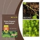 thumbnail image 4 of Fiudx Fertilizante Ecológico, Biocatalizador, Potenciador de La Absorción de Nutrientes, Maximizador Del Rendimiento de Los Cultivos, para Jardinería y Horticultura, Solución Ecológica, Paquete de 10, 4 of 6