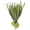 Small, variant on 1Pc 13" Artificial Staghorn Fern Branch, Faux Elkhorn Fern Spray Flocked Fake Greenery for Wall Mount Hanging Basket, Small