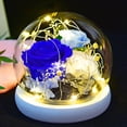 thumbnail image 4 of Decoración de flores eternas, rosa más cubierta de cristal de musgo con luces, regalos navideños, regalos de cumpleaños para familiares y amigos, 4 of 5