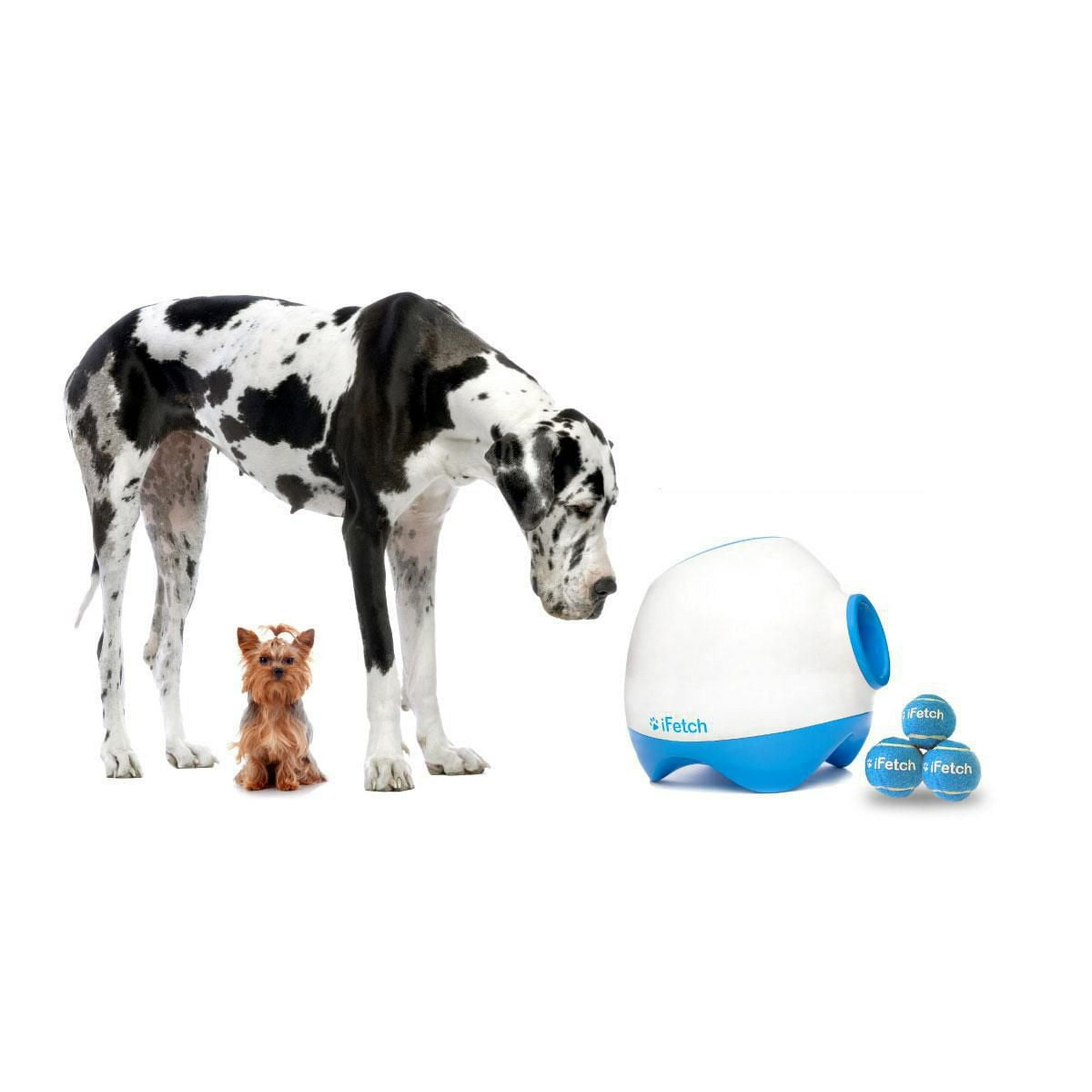 Ifetch Mini Ifetch Amazon Ifetch Dog Toy Ball Launcher IFetch Too