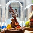 thumbnail image 6 of 1 Pc Glass Display Dome Cloche 4.06x6.3 Inch Cloche Bell Jar Terrarium with Cork Base Decorative Display Dome Case for Plants Flower Christmas Display Decoration Clear, 6 of 7