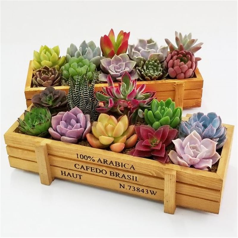 MultiGrid Rectangle Garden Wooden Planter Box Pot For Succulent Flower Plant Pot 