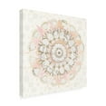 thumbnail image 2 of Trademark Fine Art 'Modern Mandala Square Champagne' Canvas Art by Danhui Nai, 2 of 3