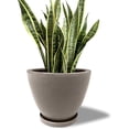 thumbnail image 2 of Maceta Ceramica de 25.4 cm con Drenaje y bandeja gris Elly Decor ED-MCD01BK, 2 of 6