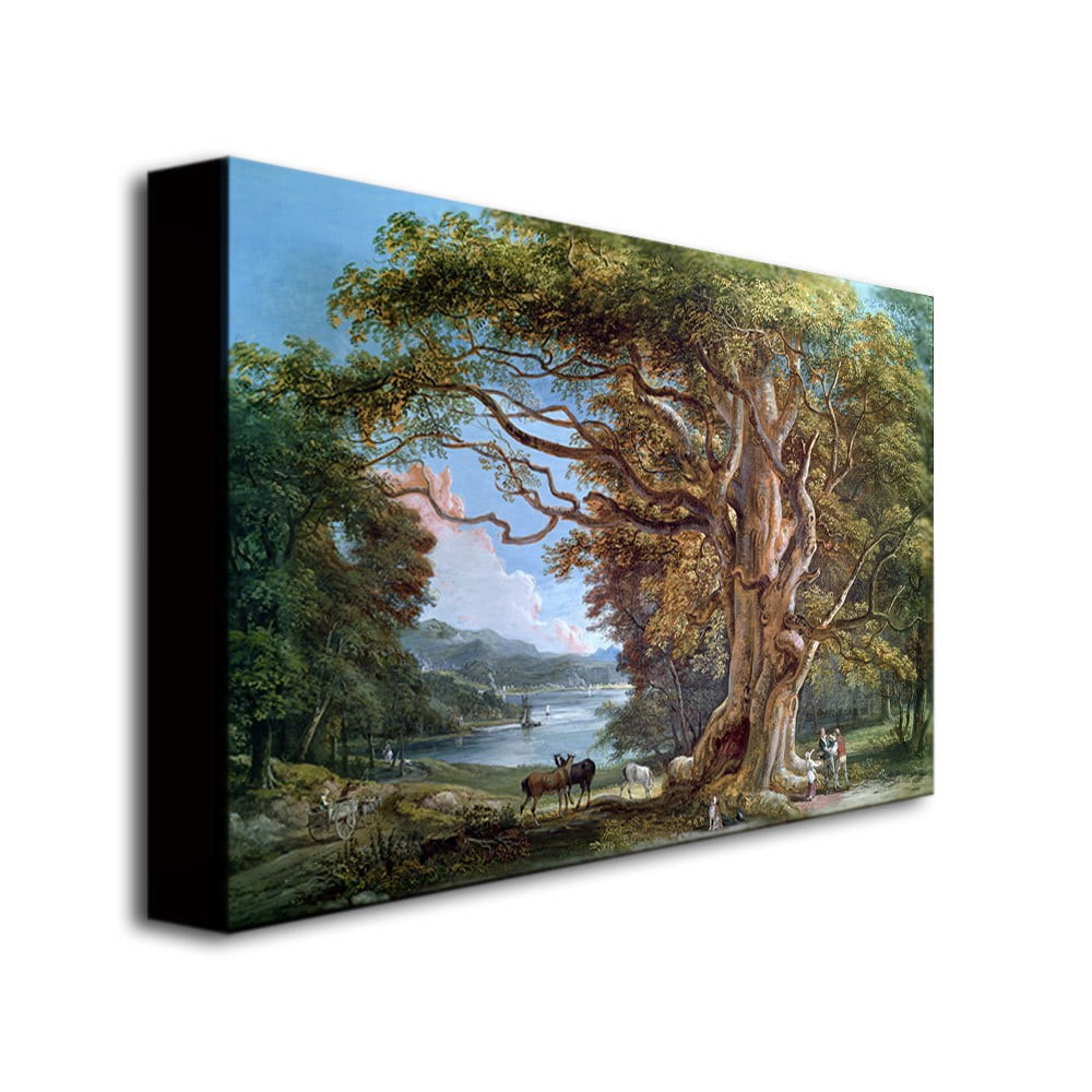 Trademark Fine Art "An Ancient Beech Tree, 1794" Canvas Wall Art by Paul Sandby