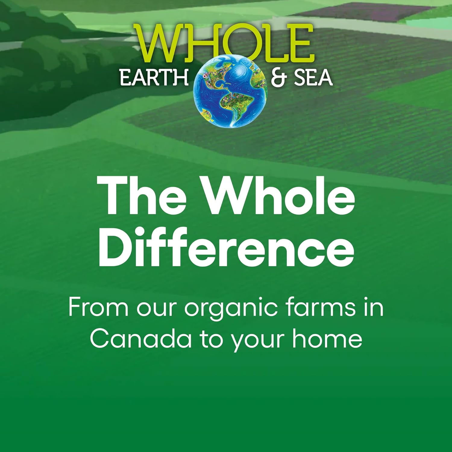 Natural Factors Whole Earth & Sea from, Women's 50+ Multivitamin & Mineral, Vegan, 120 Tablets