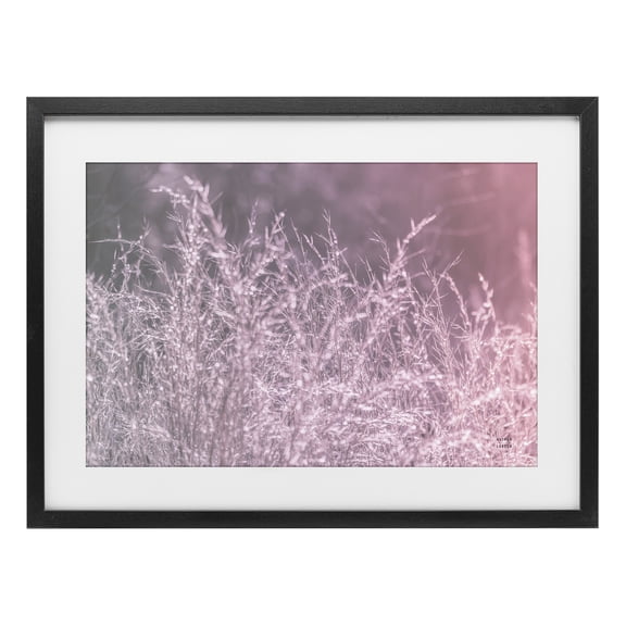 Stupell Industries Pink Morning Gentle Meadow Black Framed Print Under Glass, design by Nathan Larson