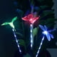 thumbnail image 5 of Luz solar LED para jardín que cambia de color con diseño de libélula, mariposa y colibrí., 5 of 5