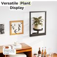 thumbnail image 3 of Bamworld Wall Hanging Planters for Indoor Plants Plant Hanger Indoor Outdoor Window Plant Shelves Hanging Plant Holder Wall-Mounted Plant Rack Black Metal Room Decor 1 Pack(Pot &Plant Not Included), 3 of 6