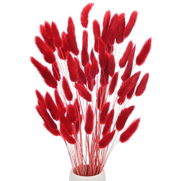 Uxcell 60-Pack Bunny Tails Grass 17 Inch Fluffy Rabbit Tail Grass Dried Flowers for Home/Wedding [Bright Red]