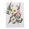 thumbnail image 3 of Abbracc Assorted Natural Real Pressed Dried Flowers/Pressed Leaves For Resin Jewelry B, 3 of 9