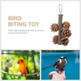 thumbnail image 3 of NIAIZEK Natural Pine Cone Foraging Toy for Parakeets, 1 Pack - Chewing & Enrichment Pet Bird Accessory, 3 of 8