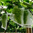 thumbnail image 4 of Fruit Protection Bags Anti-Bird Garden Netting Bags Strawberry Grapes Mesh Bag White, 4 of 9