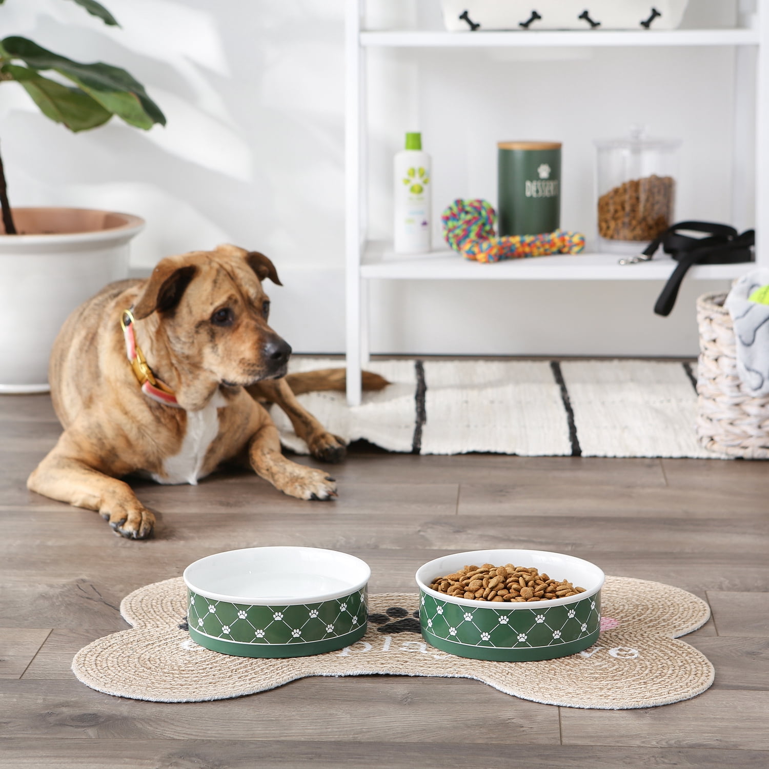 DII Pet Bowl Trellis Paw Hunter Green Large 7.5Dx2.4H (Set of 2)