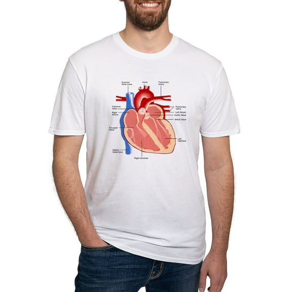 CafePress - Human Heart Anatomy Fitted T Shirt - Fitted T-Shirt, Vintage Fit Soft Cotton Tee
