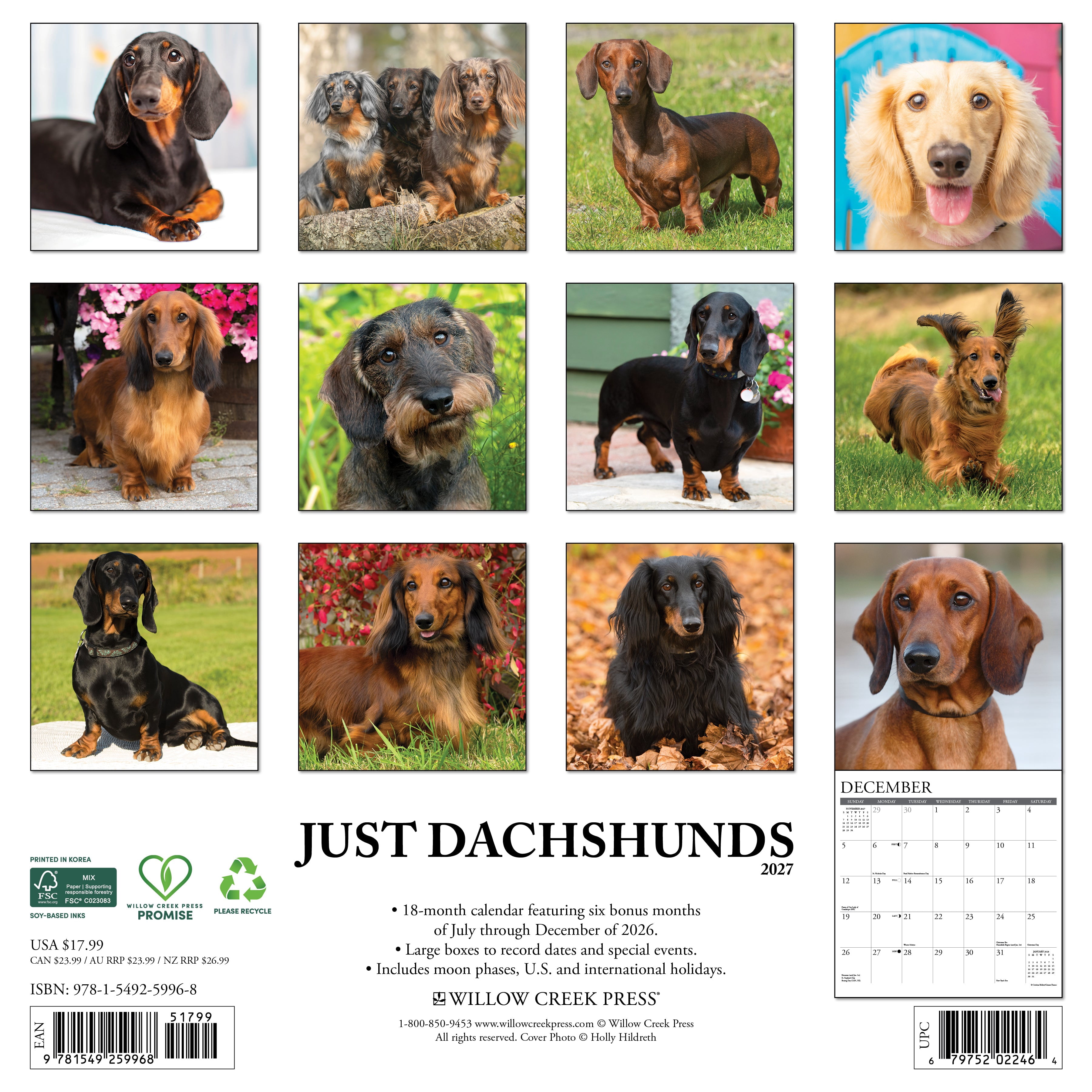 Willow Creek Press, Dachshunds 2027 Wall Calendar