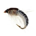 thumbnail image 6 of 6X #12 Realistic Nymph Scud Fly For Trout Fishing UKf Insect Lure Bait F1O2, 6 of 7