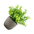 thumbnail image 2 of Bearachild Decoración artificial elegante de la planta en conserva fácil limpiar el árbol artificial del dinero en pote respetuoso del medio Decoración aliento de bebé azul, 2 of 6