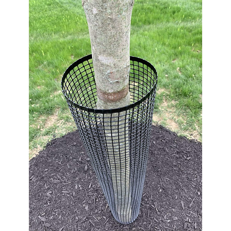 72 Tall Rigid Mesh Tree Guard For 7 Diameter Tree [1/2 Sq. Mesh] - Tree  Trunk Protection (Plastic) Jiggly Greenhouse®
