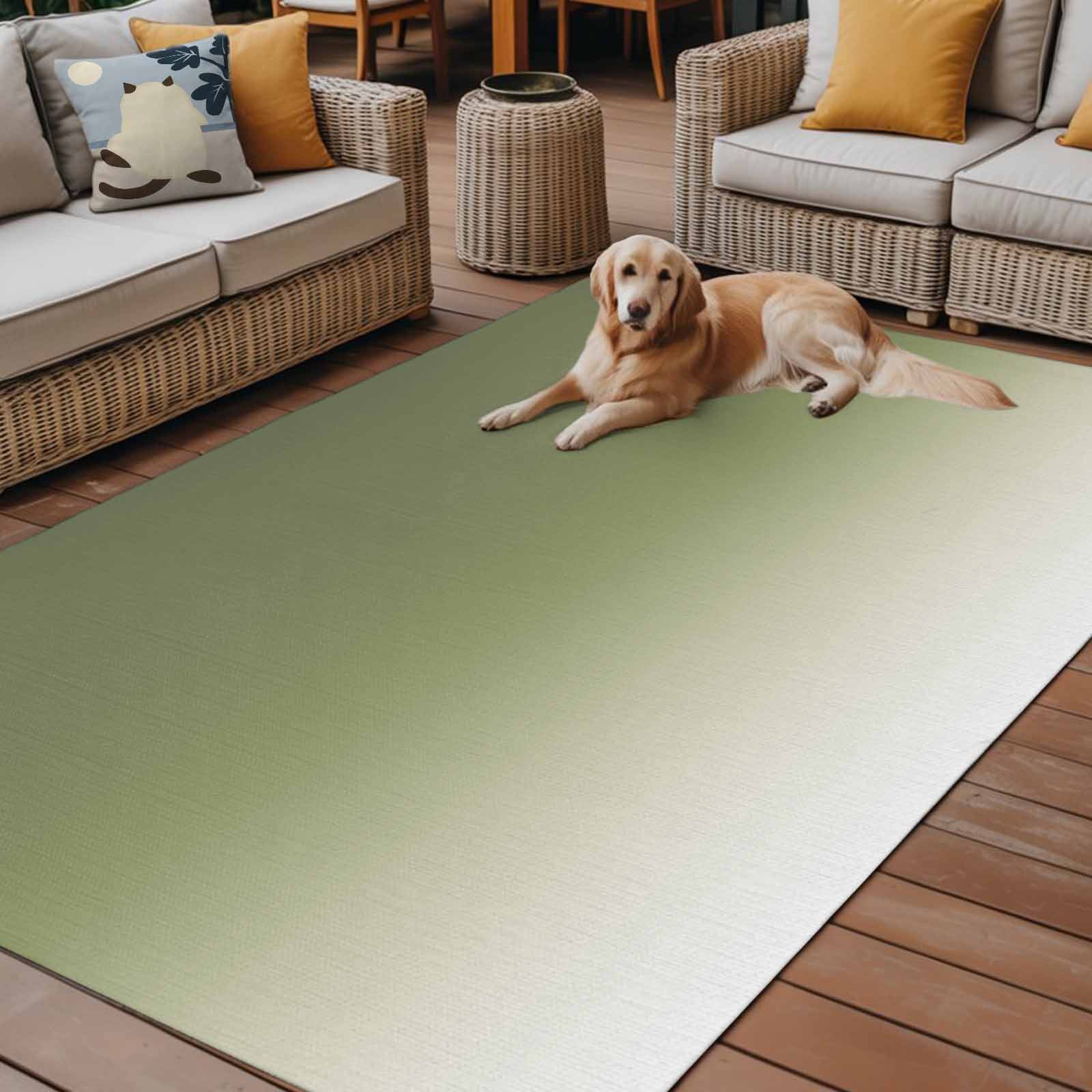 Outdoor Rug 5x8ft Sage Green Large Area Rug Ombre Indoor Outdoor Carpet Outdoor Rugs Mats for Patio Camping,RV,Front Door, Outside Decor