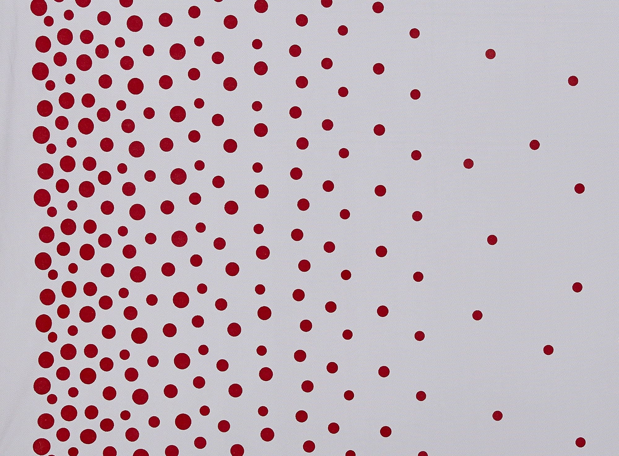 Zelouf Single Border Color Felt Dot On Tulle  , Sewing, DIY, Crafts Fabric by the Yard, Black/red, 3 Yard