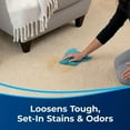 thumbnail image 4 of BISSELL Tough Stain Pretreat for Carpet & Upholstery 22 oz. 4001, 4 of 5