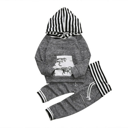 Toddler Infant Baby Boys Dinosaur Long Sleeve Hoodie Tops Sweatsuit Pants Outfit Set