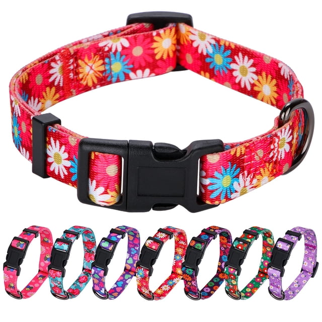 Rhea Rose Girl Collares Para Perros Lindo Collar De Margarita Rosa Flor De Primavera Y Verano Para Perros Medianos