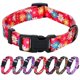 thumbnail image 1 of Rhea Rose - Collares Para Perros Con Diseño De Margaritas Rosas Y Flores De Primavera Y Verano Para Perros Grandes, 1 of 1