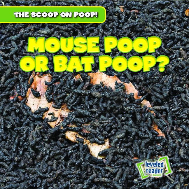 Scoop on Poop Mouse Poop or Bat Poop? (Hardcover)