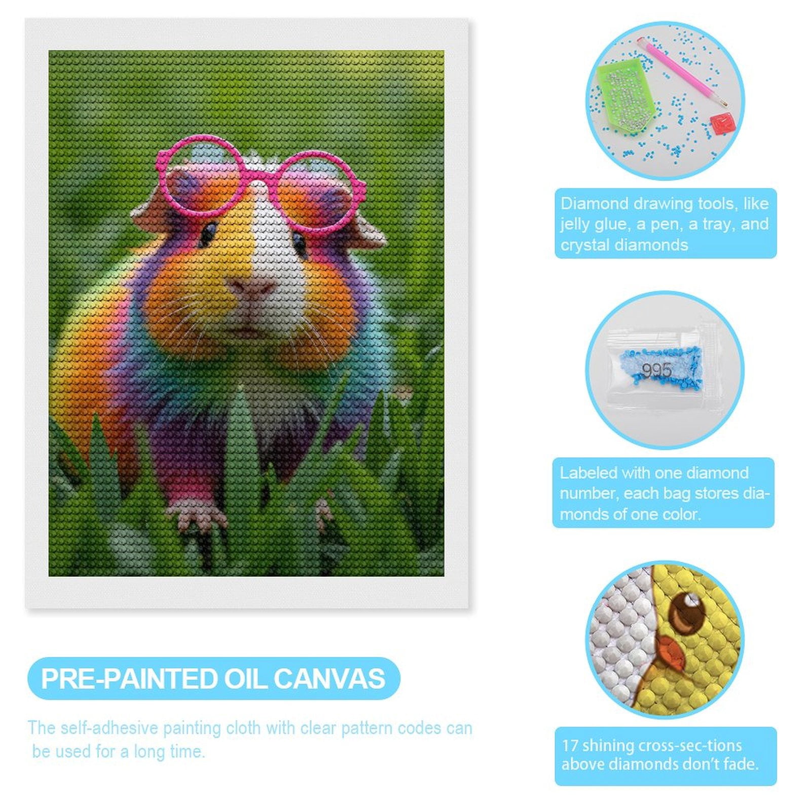Diamond Art Kits for Adults, Colorful Guinea Pig Glasses Grass 5D Diamond Painting Kits for Adults Beginners, DIY Full Drill Diamond Painting, Gem Art and Crafts 12x16