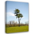 thumbnail image 1 of Karyn Millet 13x18 Gallery Wrapped Canvas Wall Art Titled - Tree II, 1 of 4
