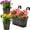 Black, variant on NOGIS 3 Pack Vintage Metal Iron Wall Hanging Flower Pots, Rustic Planter Bucket Herb Flower Plant Holder with Detachable Hooks & Drainage Hole for Railing Fence Balcony Deck Garden(Black)