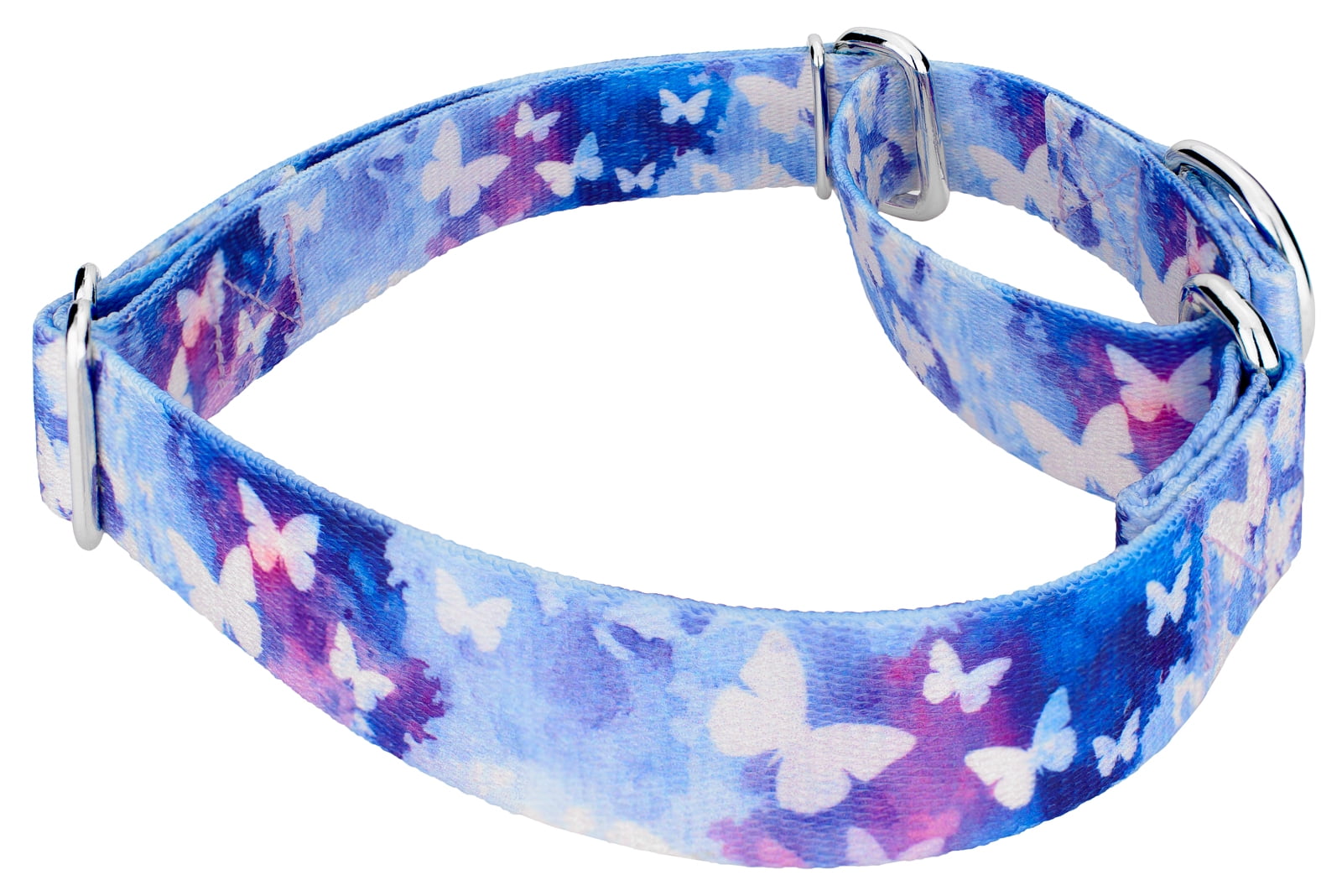Country Brook Petz® Watercolor Butterflies Martingale Dog Collar and Leash, Large
