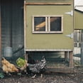 thumbnail image 1 of unbranded 2Ud Bolsa De Malla Para Verduras Colgante Para Gallinas Y Ecológica, 1 of 6