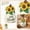 B, variant on 5.9IN Happy Harvest White Pumpkin Statue with Sunflowers, Resin Fall Pumpkin Tabletop Decor, For Autumn Harvest Thanksgiving&Halloween Indoor Outdoor Home Porch Farmhouse Decoration,