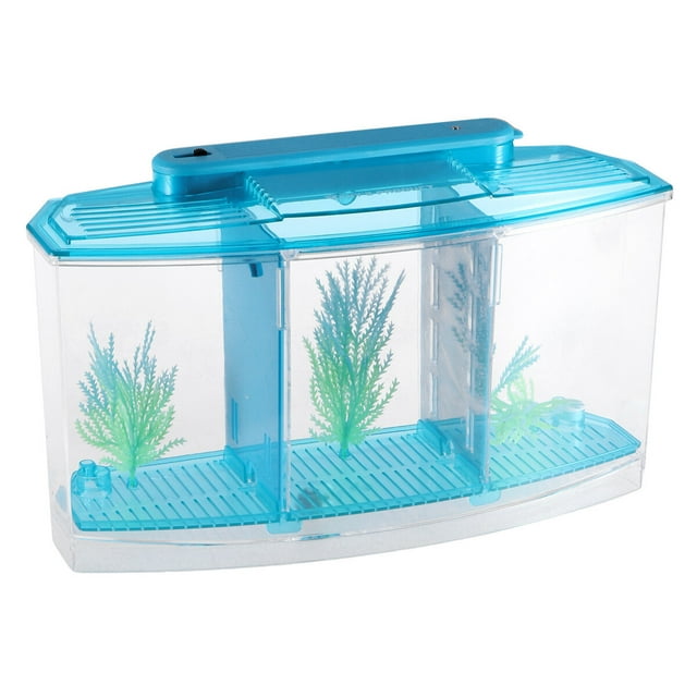 EeaseMX Mini acuario autolimpiable de escritorio, ecológico, cuadrado, para peces dorados, ideal para incubar plántulas, para el hogar y la tienda (azul)