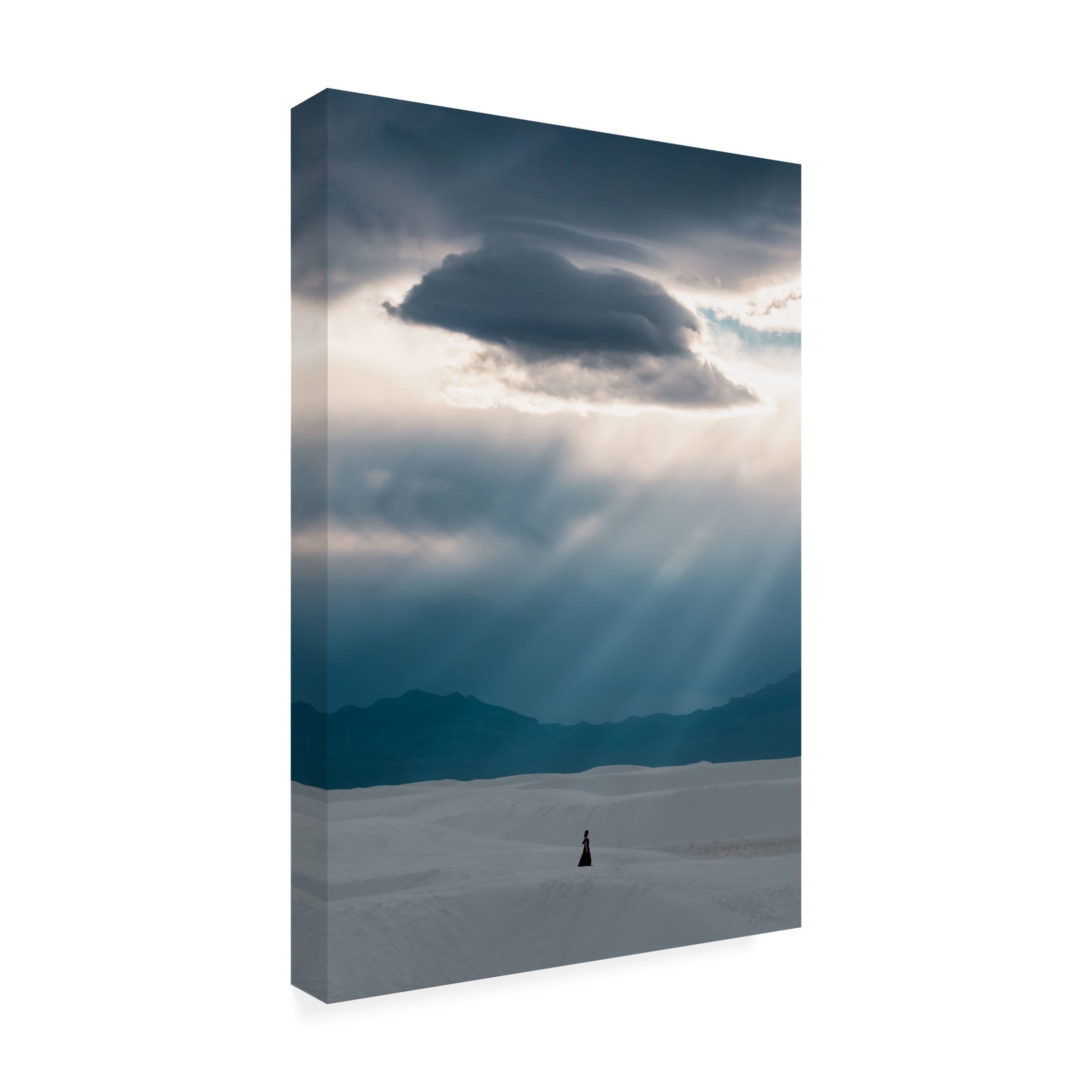 Trademark Fine Art Ling Zhang Umbrella Canvas Wall Art