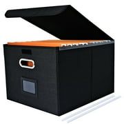 LANNEY File Organizer Box with Lid and Slides, Portable Folders Freestanding Document Organizer Hanging Legal Size Paper Files